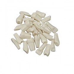 DIENTES P/TIPODONTO C/32