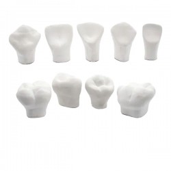 MACROMODELOS C/8 Y/O C/9