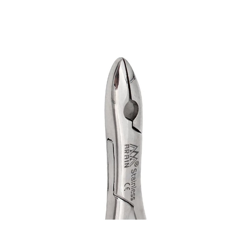 FORCEP 99C ANTER/CANINO/PREMO-SUP ECONOMICO