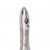 FORCEP 99C ANTER/CANINO/PREMO-SUP ECONOMICO