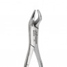 FORCEP 210H SUPERIORES TERCEROS MOLARES