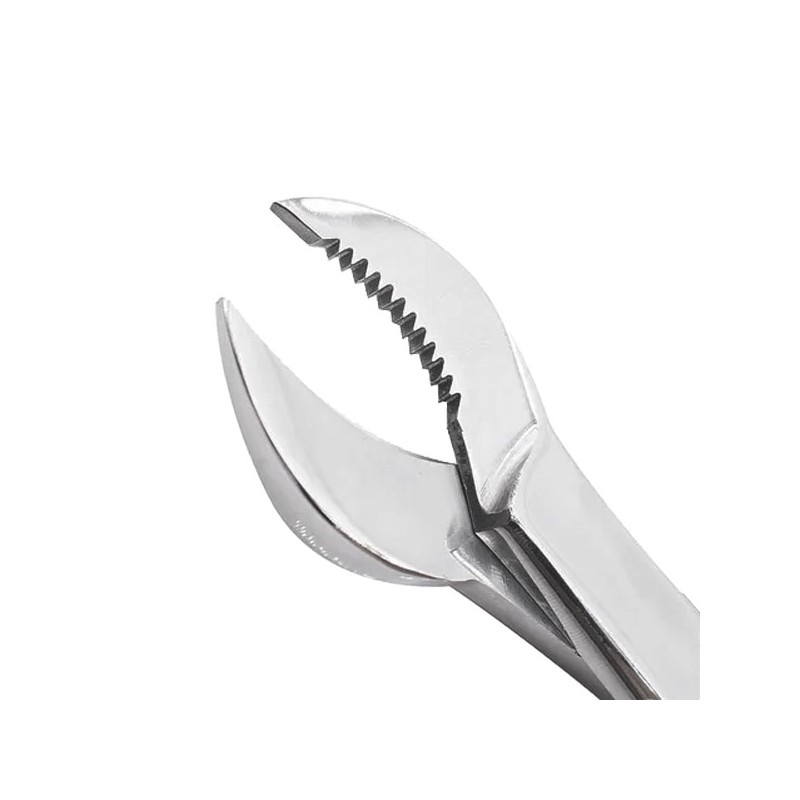 PINZA CANGREJO ECONOMICO