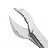 PINZA CANGREJO ECONOMICO