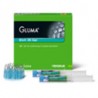 GLUMA ETCH 35 GEL 2 X 2.5 ML ACIDO ORTOFOSFORICO
