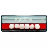 TABLILLA INFANTIL DIENTES ACRILICO 1X6