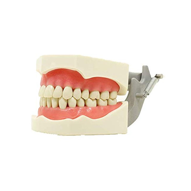 TIPODONTO 860 TIPO COLUMBIA (Adulto o Infantil)