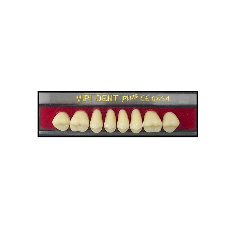 TABLILLA DE DIENTES VIPI-DENT