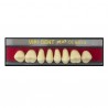 TABLILLA DE DIENTES VIPI-DENT