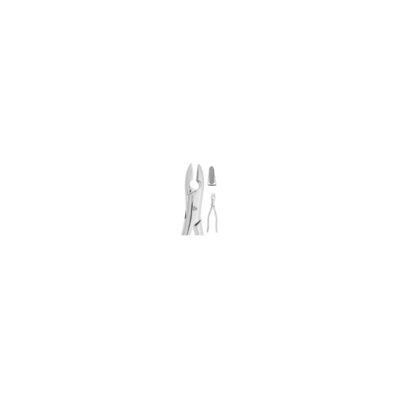 FORCEP 99C INCISIVOS, CANINOS Y MOLARES SUPERIORES