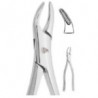 FORCEP 101 PREMOLARES SUPERIORES