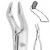FORCEP 210S SUPERIORES TERCEROS MOLARES